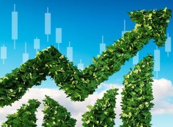 INFINOX 全面推行无纸化，携手 scnz.io 推出环保名片并启动植树计划