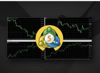 Darwinex 推出 MT5 账户链接与迁移服务，交易者可保留原有记录